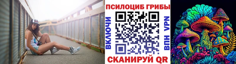 Псилоцибиновые грибы ЛСД  купить закладку  Чёрмоз 